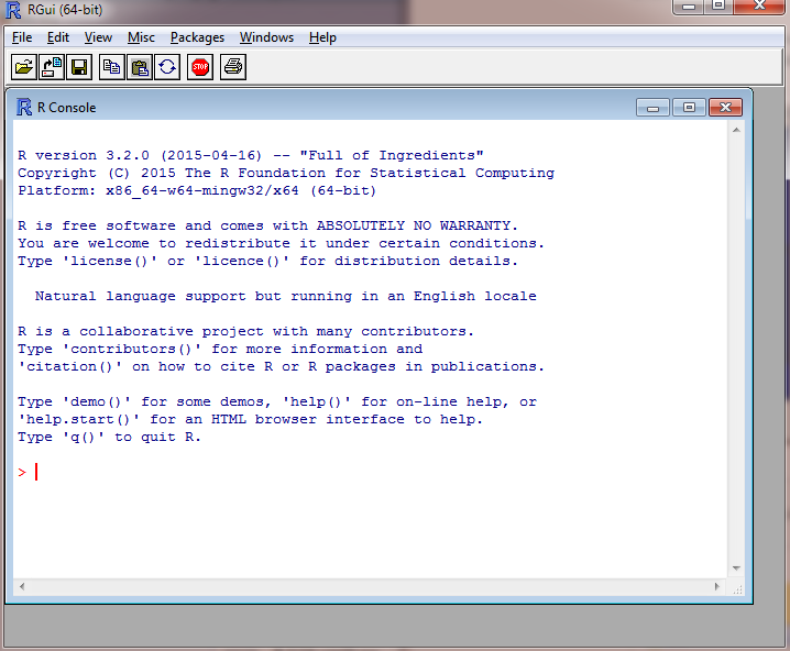 R Console