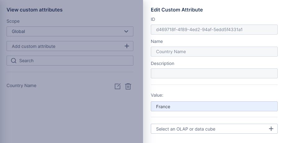 Use this work area to set the value or values for a custom attribute