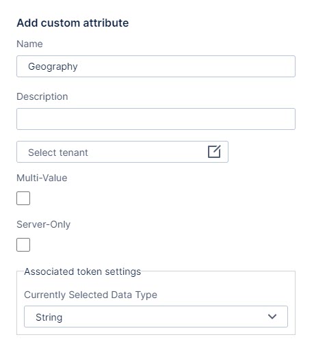Use this work area to define the name, description, data type token settings, and other custom attribute options, including tenant, if available.