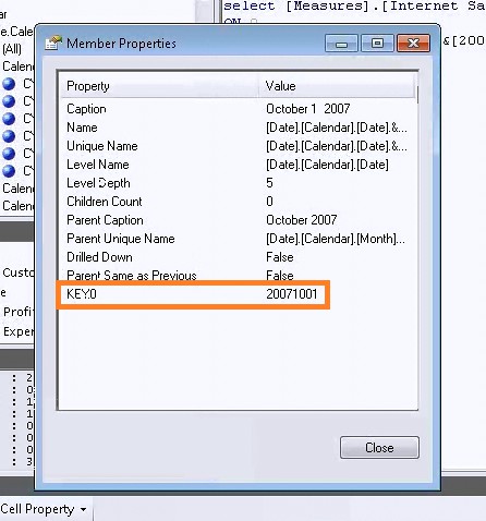 Member Properties dialog from SSAS
