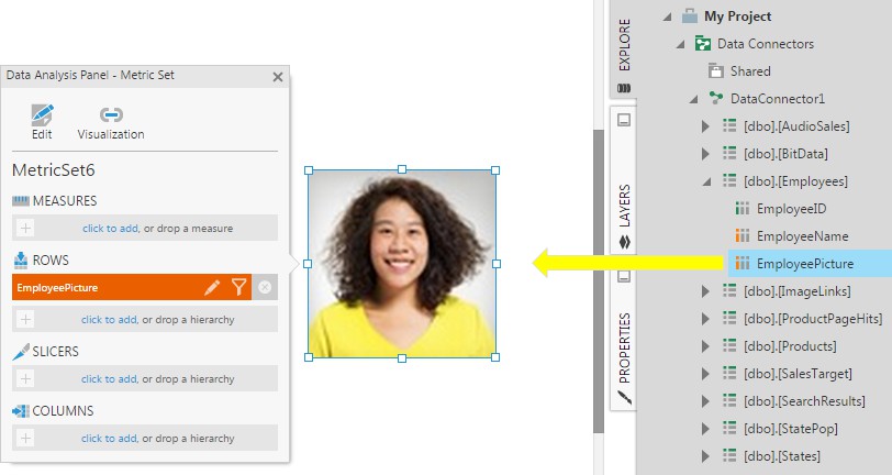 Drop the EmployeePicture column onto the data image