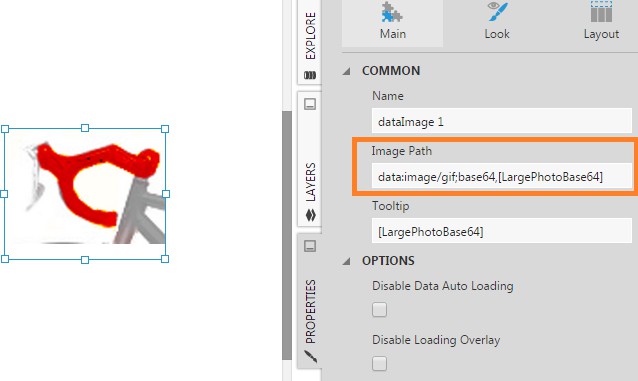Set the Image Path property for Base64 data