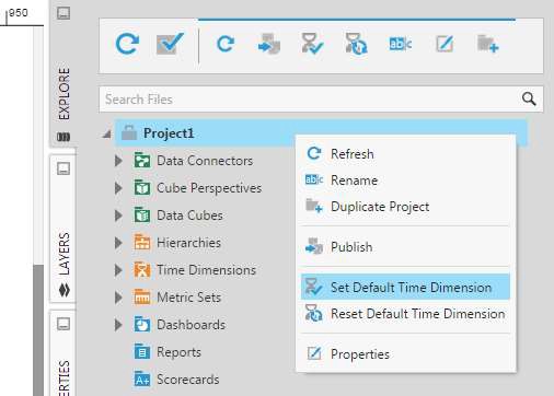 Set the default time dimension for this project