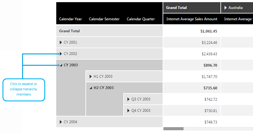 Expand hierarchy members in View mode