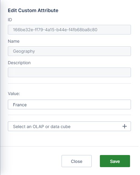 Define the Value of a custom attribute