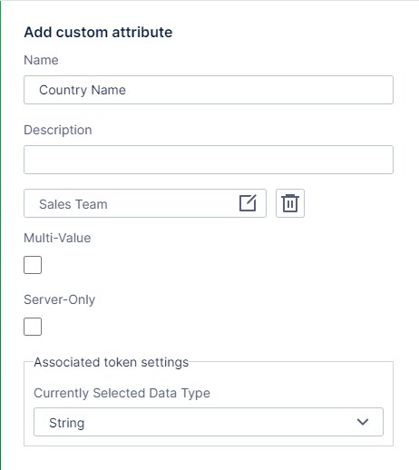 Use this work area to define the name, description, data type token settings, and other custom attribute options, including tenant, if available.
