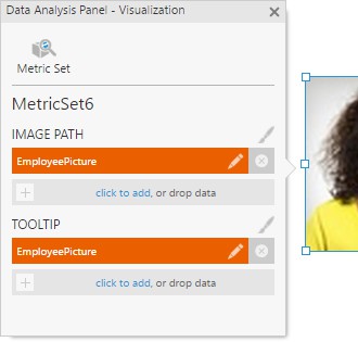 Image Path data 
